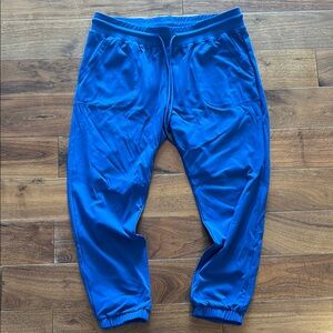 ZYIA Blue Track Pants with Elastic Waistband and Tapered Ankles